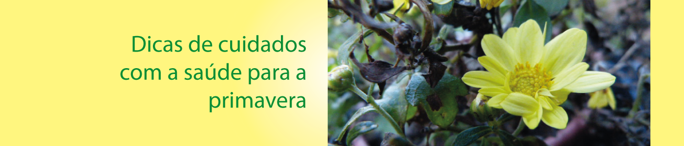 Dicas de cuidados com a saúde para a primavera