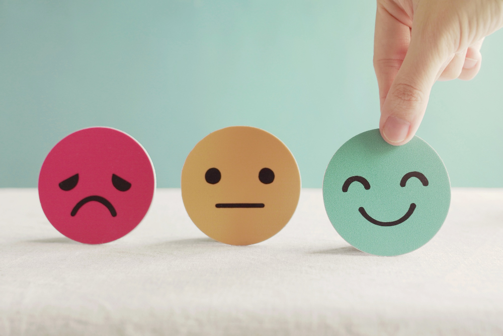 Webinar gratuito trata de Regulação Emocional