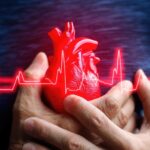 Dia Nacional de Alerta à Insuficiência Cardíaca