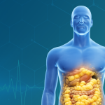 Gordura abdominal: por que ela merece atenção e como reduzir os riscos para a saúde