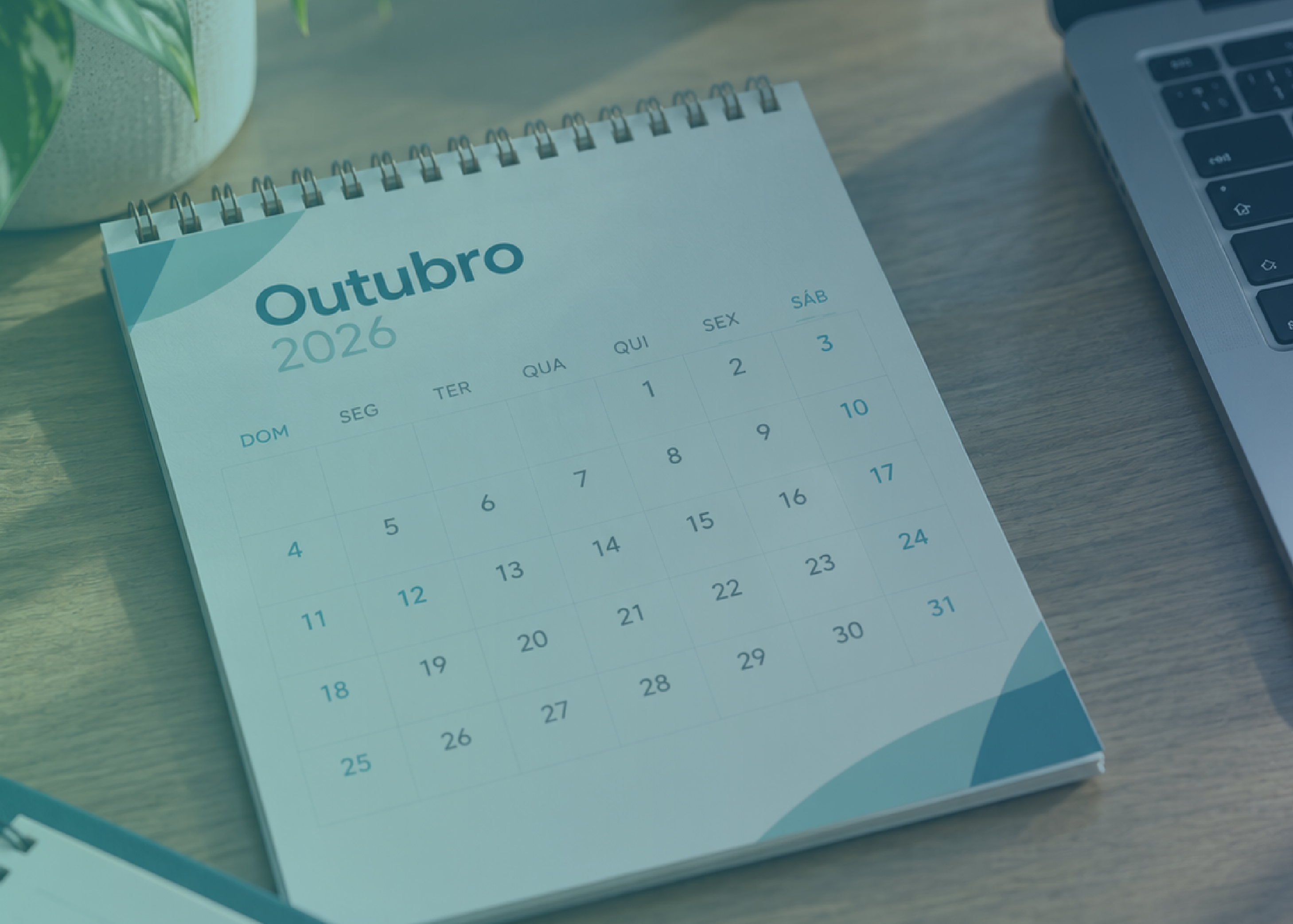 Veja como fica o expediente da SIM no feriado de Nossa Senhora Aparecida